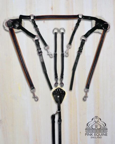 Pink Equine Sport 5 Point Martingale Orange