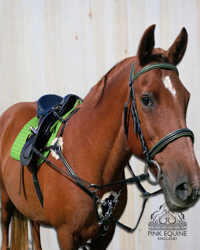 The Pink Equine 5 Point Breastplate Comfort for your horse