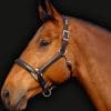 Should you leave a headcollar on a horse?
