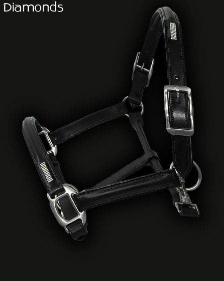 Leather Horse Headcollar
