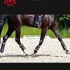 Mattes Bespoke Dressage Boots