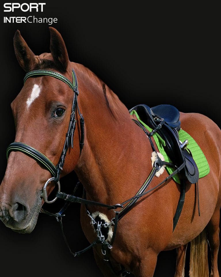 Pink Equine's 5 Point Breastplate 5 Point Martingale