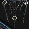 Sport 5 Point Martingale Atlantic Blue