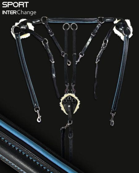 Sport 5 Point Martingale Atlantic Blue