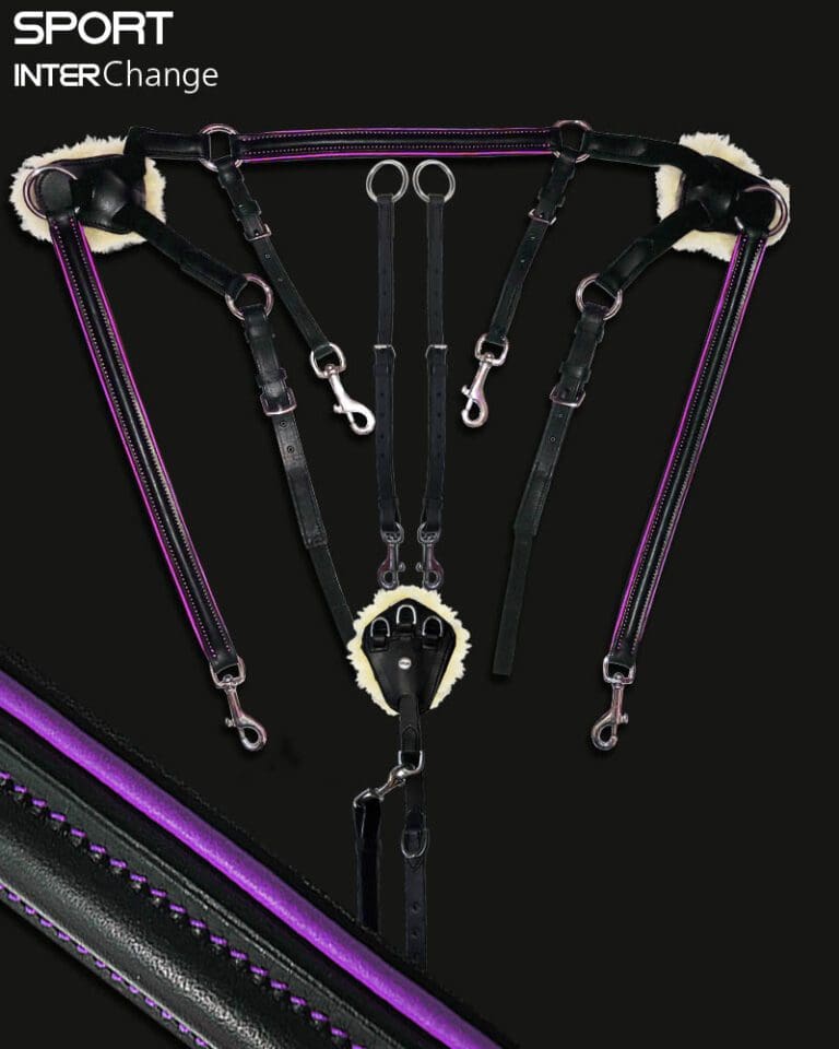 Click to view full screen Sport 5 Point Breastplate Violet