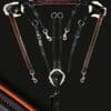 Sport 5 Point Martingale Orange