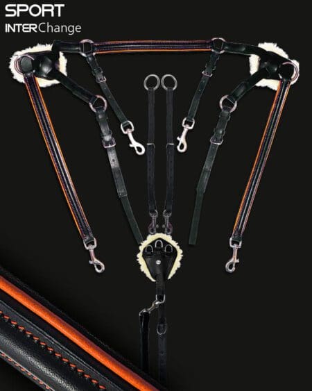 Sport 5 Point Martingale Orange