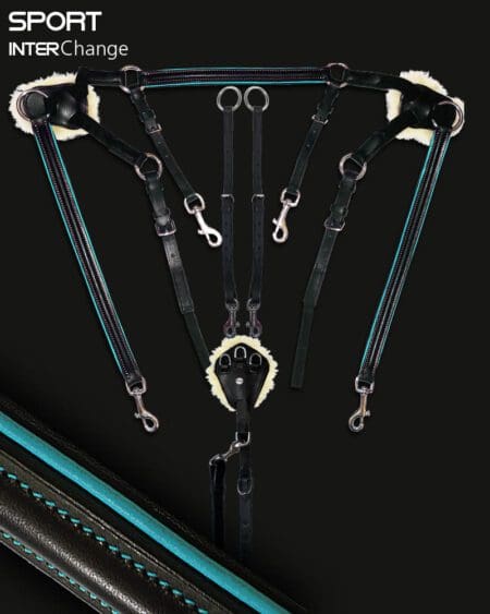 Sport 5 Point Martingale Teal