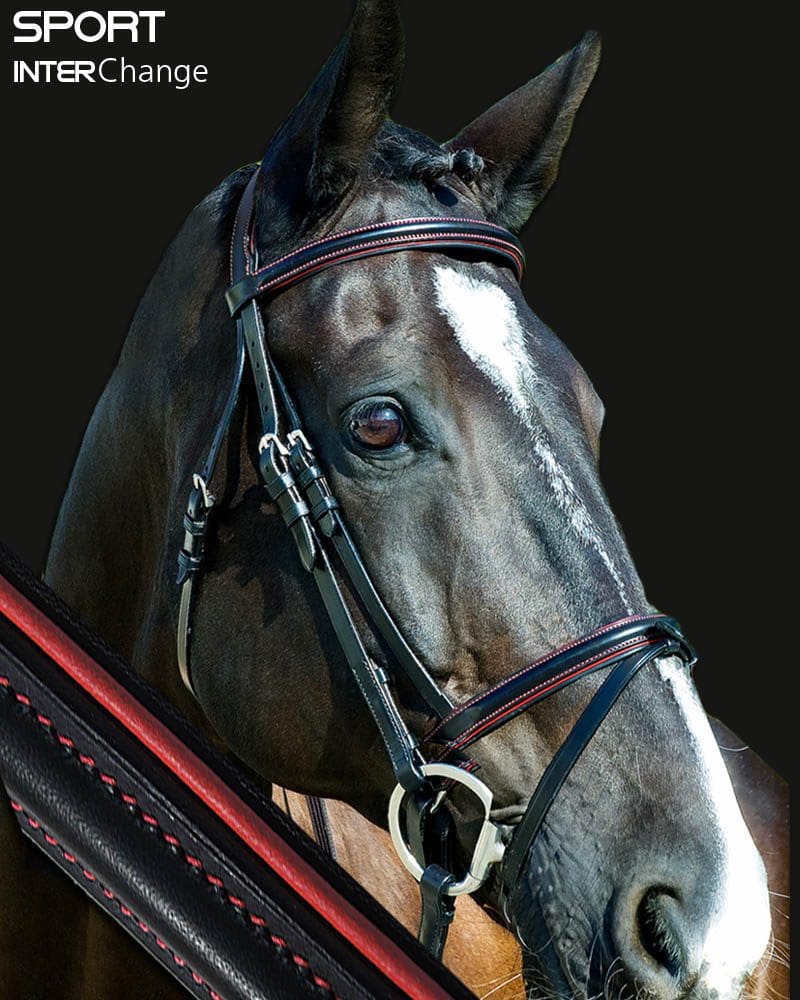 Sport Padded Bridle