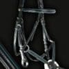 Sport Colour Piped Bridle in Forest Green