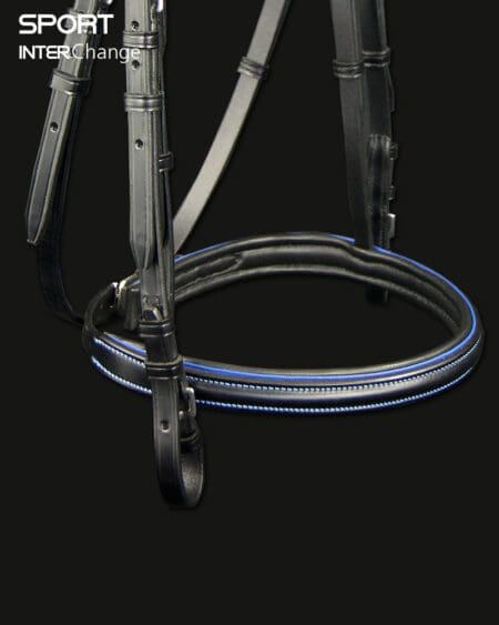 Sport Colour Piped Noseband in Royal Blue