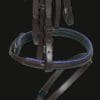 Sport Colour Piped Noseband Purple