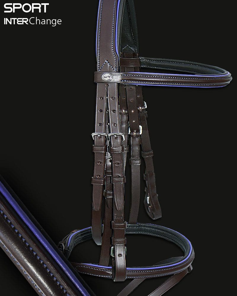 Sport Colour Piped Bridle in Purple