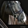 Sport Interchange Colour Piped Noseband Sand Beige