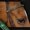 Sport Interchange Crystal Browband Hunter Green