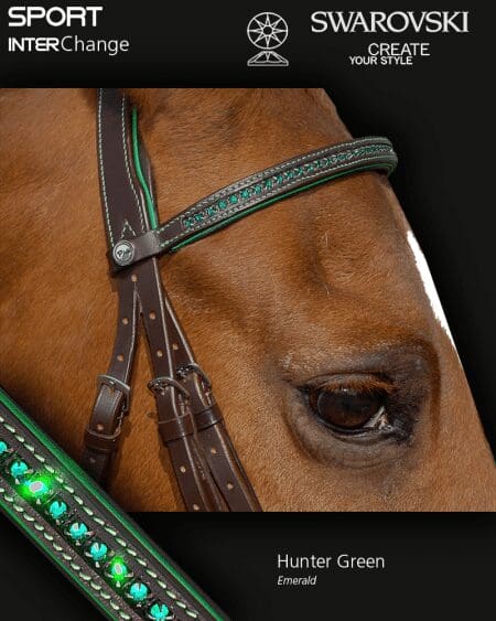 Sport Interchange Crystal Browband Hunter Green