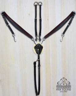 horse martingale