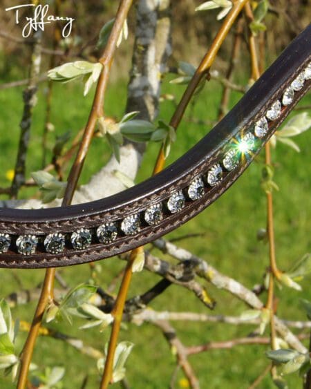 Horse Browband with Bespoke Design showing black to white fading crystals
