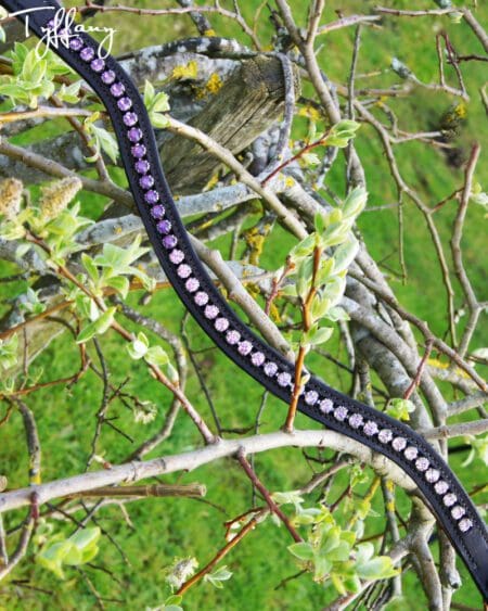 Horse Browband with Bespoke Design showing pink to white fading crystals