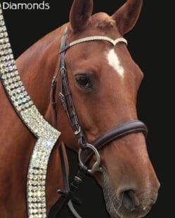 Diamond V Shaped Dressage Bridle on Horse