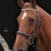 Diamond V Shaped Dressage Bridle