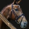 Diamond wave gold Shaped Dressage Bridle on Horse