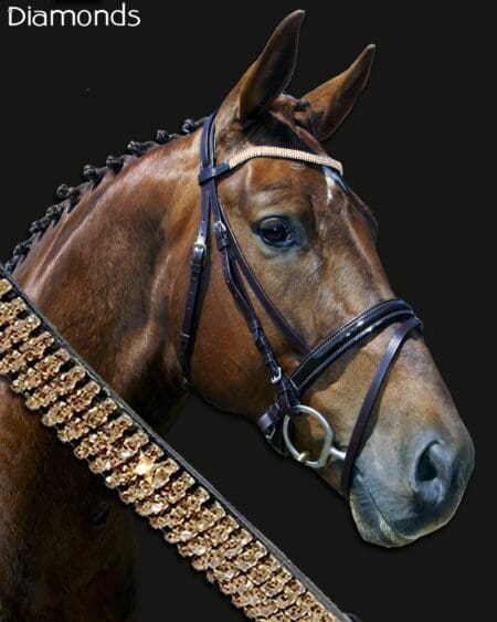 Diamond Wave Gold Dressage Bridle on Horse