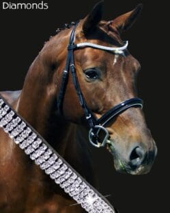 Diamond wave Shaped Dressage Bridle on Horse