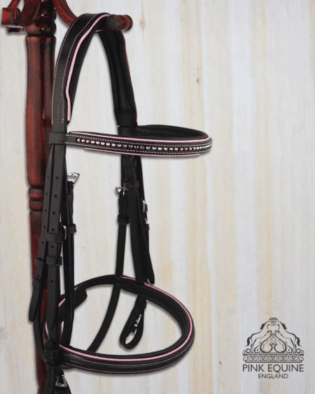 English Horse Bridle