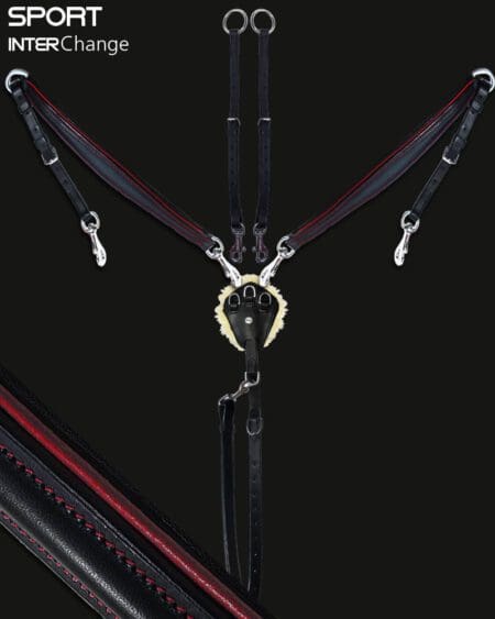 Sport 3 Point Martingale Red