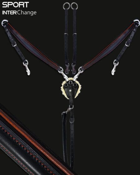 Sport 3 Point Martingale Rust