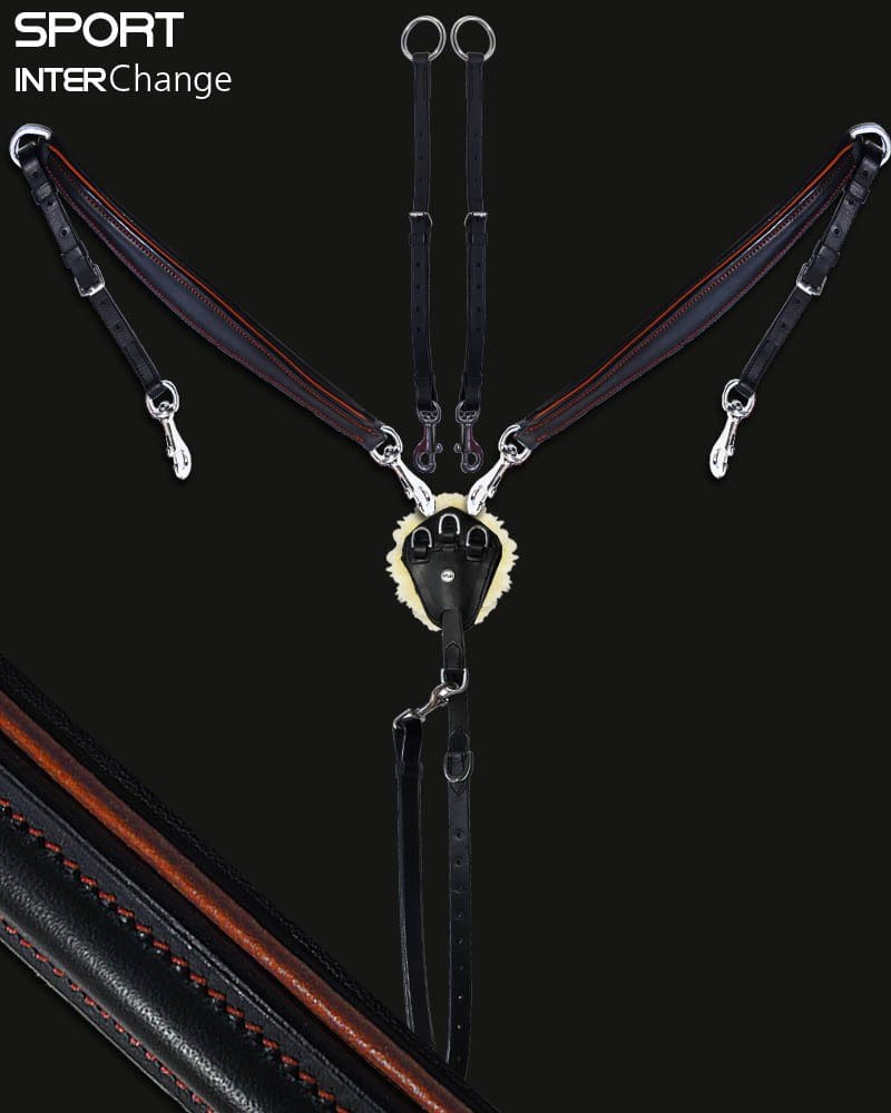 Sport 3 Point Martingale Rust