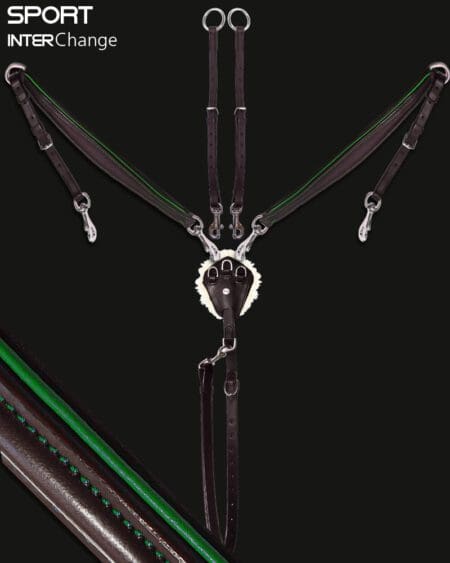 Sport 3 Point Martingale Hunter Green