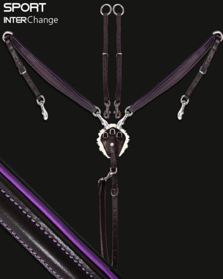 Sport 3 Point Martingale Violet