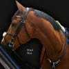 Black Leather 3 Point Martingale Royal Blue