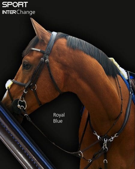 Black Leather 3 Point Martingale Royal Blue