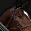 Sport Interchange Colour Piped Browband Hunter Green