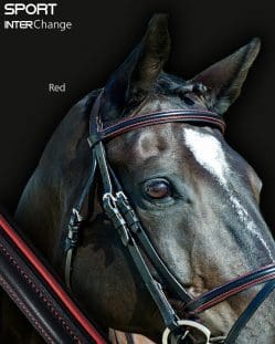 Sport Interchange ergonomic bridle