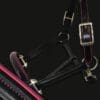 Sport Colour Piped Leather Headcollar Hot Pink