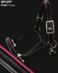 Sport Colour Piped Leather Headcollar Hot Pink