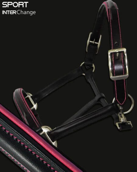 Sport Colour Piped Leather Headcollar Hot Pink