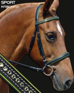 Sport Crystal Bridle