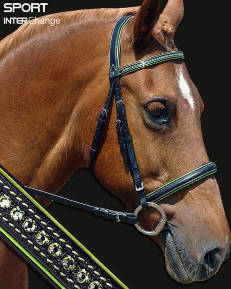 Sport Crystal Bridle