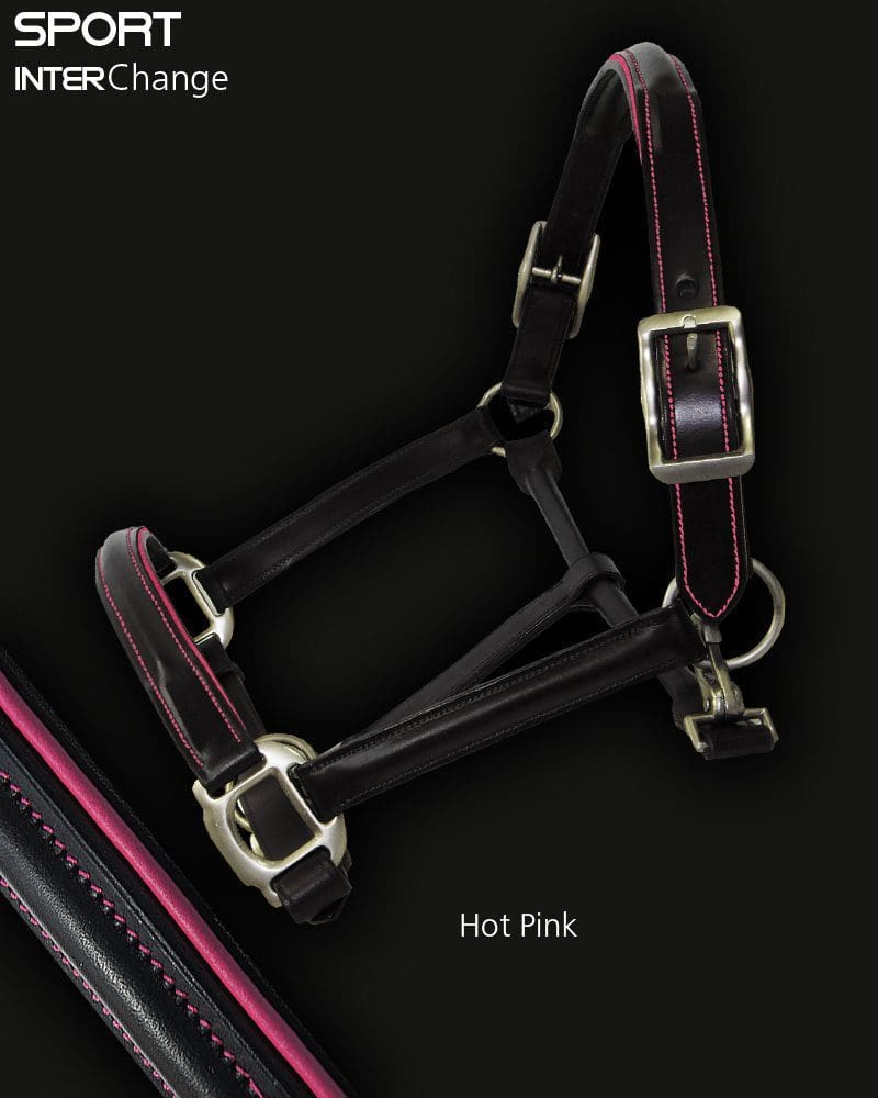 Personalised headcollar sale