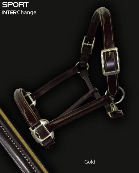 Leather Horse Headcollar Gold Piping