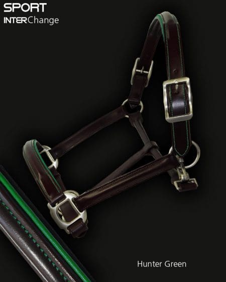 Leather Horse Headcollar Hunter Green Piping
