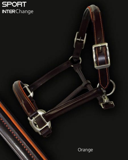 Leather Horse Headcollar Orange Piping