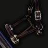 Leather Horse Headcollar Purple Piping