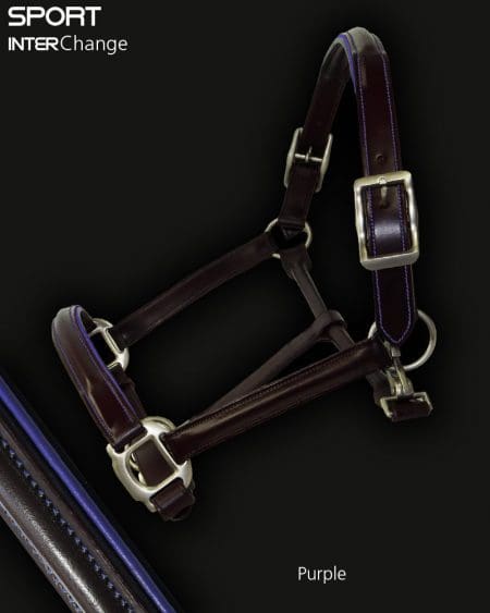 Leather Horse Headcollar Purple Piping