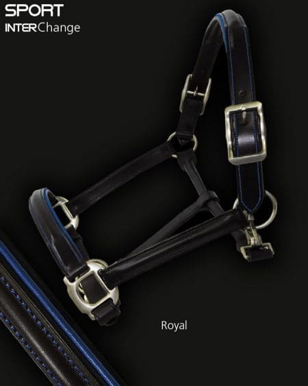 Leather Horse Headcollar Royal Blue Piping